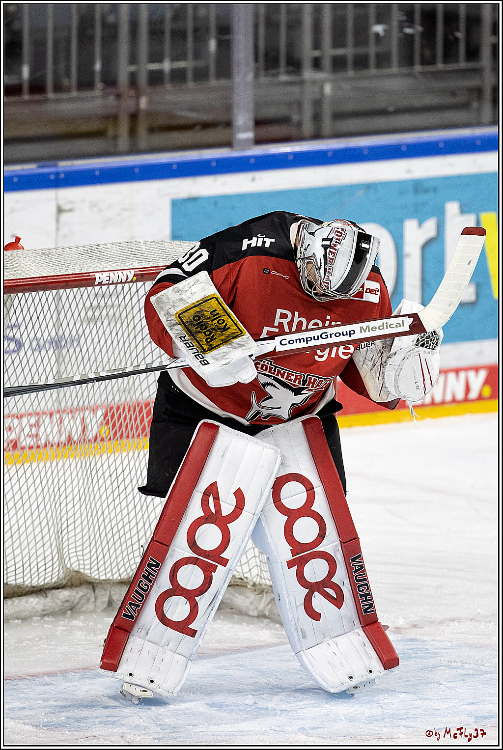 PENNY DEL;  Koelner Haie - Krefeld Pinguine; Koeln, 08.03.2022